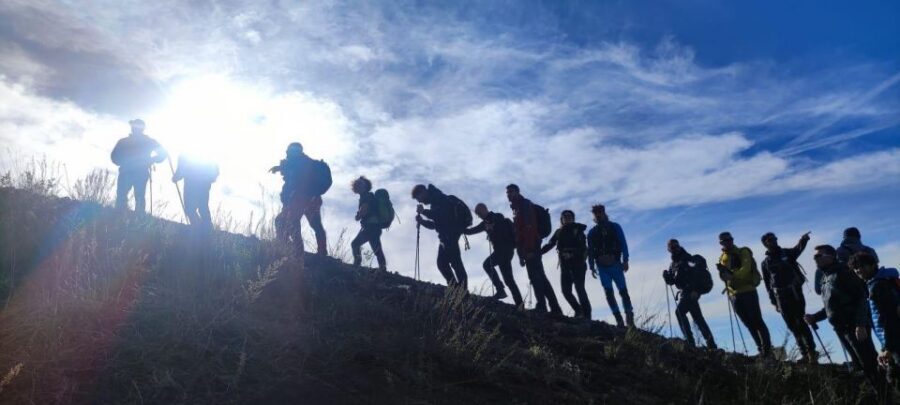 Vesuvio: 3h trekking tour with volcanological guide - Who This Vesuvius Tour Fits Best