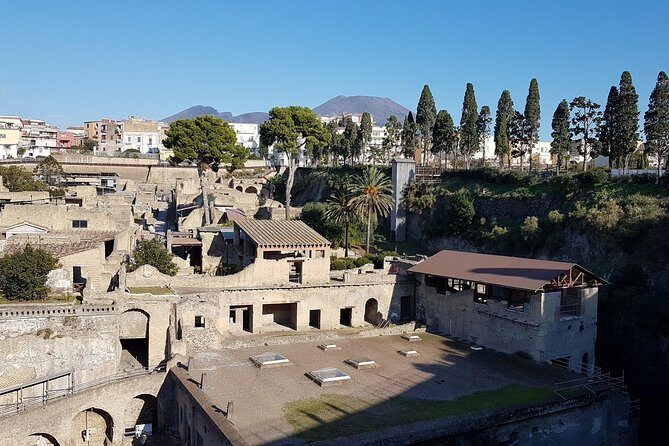 Vesuvius and Herculaneum Day Trip from Naples with Skip the Line - Meeting points and ticket stress: how to avoid the common failures
