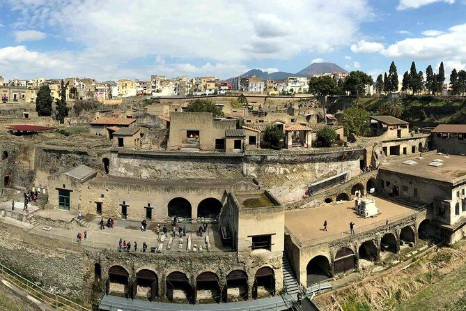Vesuvius and Herculaneum Day Trip from Naples with Skip the Line - Vesuvius National Park: what the climb feels like