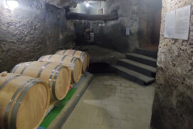 Vesuvius wine tasting with company tour - Key Things to Know Before You Go