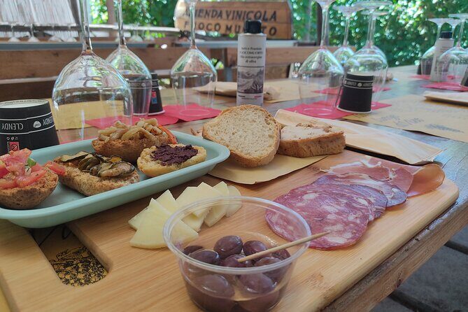 Vesuvius wine tasting with company tour - Terraced Vineyards and Volcanic Soil: Where the Wine Starts