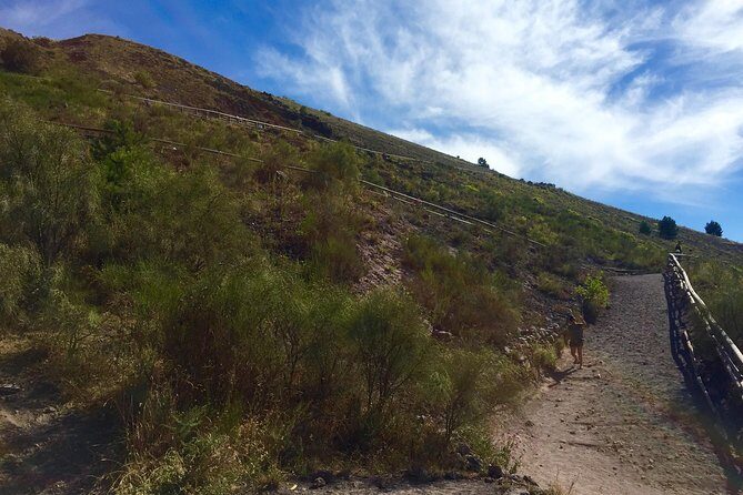 Vintage Van Experience: Tour and Transfer to Mt. Vesuvius - Guide quality: what to expect at the crater