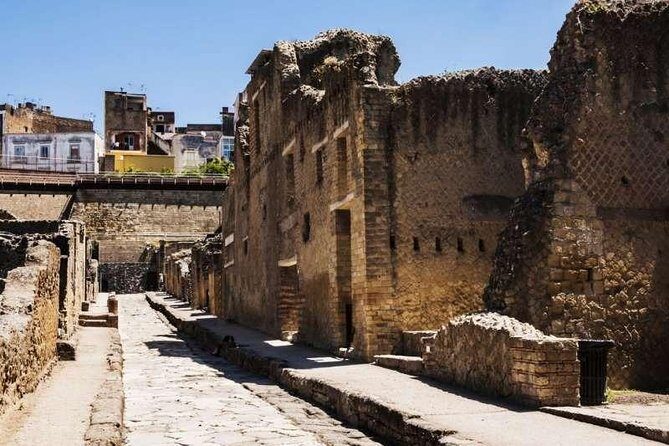 Visit Herculaneum with an expert professional guide (2/3 hours) - Azienda Agricola Ercolani: limoncello testing and handmade crafts